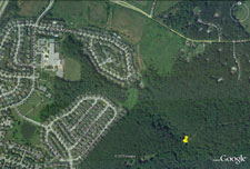 ThumbnailMap of Dayspring Tributary